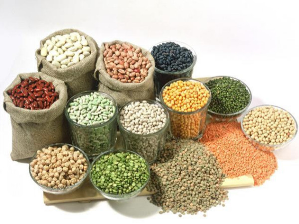 金威瑪農產品，打造健康的豆類<i style='color:red'>加工品牌</i>