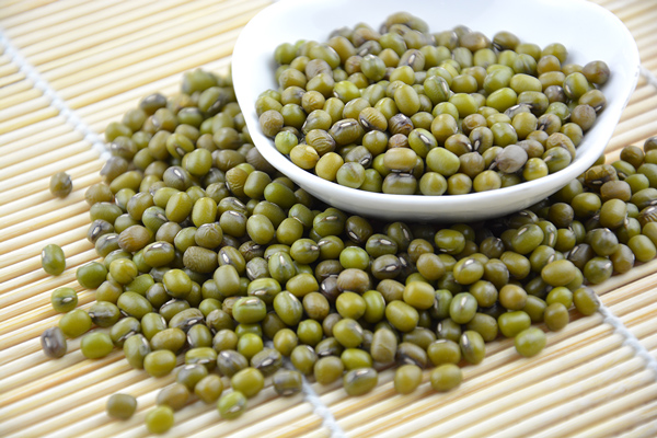 我國1-3月進(jìn)口大豆激增 非轉(zhuǎn)基因大豆需求略有缺口