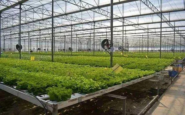 全國農服進萬家系列活動正式啟動
