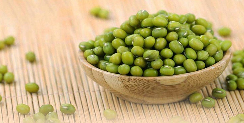 洮南積極引導(dǎo)農(nóng)民規(guī)模化種植綠豆