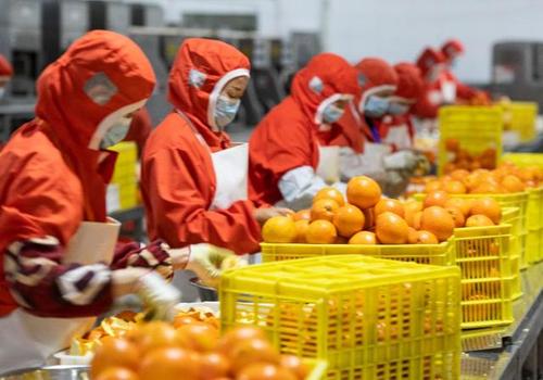 疫情防控好轉，農產品價格平穩下降