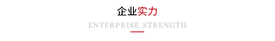 企業(yè)實力