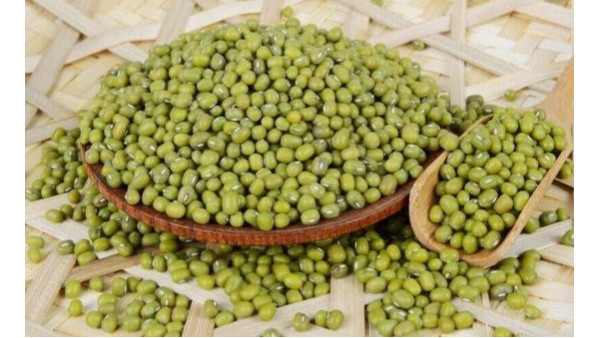 我國綠豆出口質量標準有沒有明確規定？