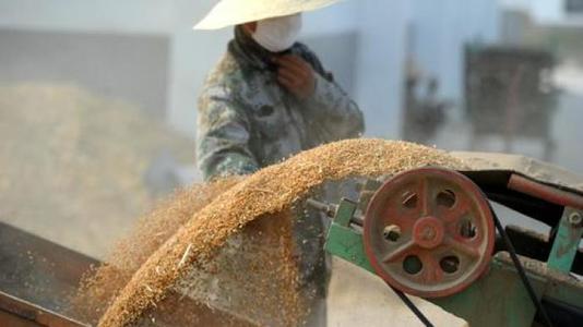 我國糧食產(chǎn)后損失嚴重，節(jié)糧護理空間巨大