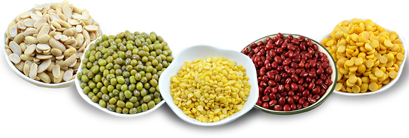 金威瑪豆業(yè)